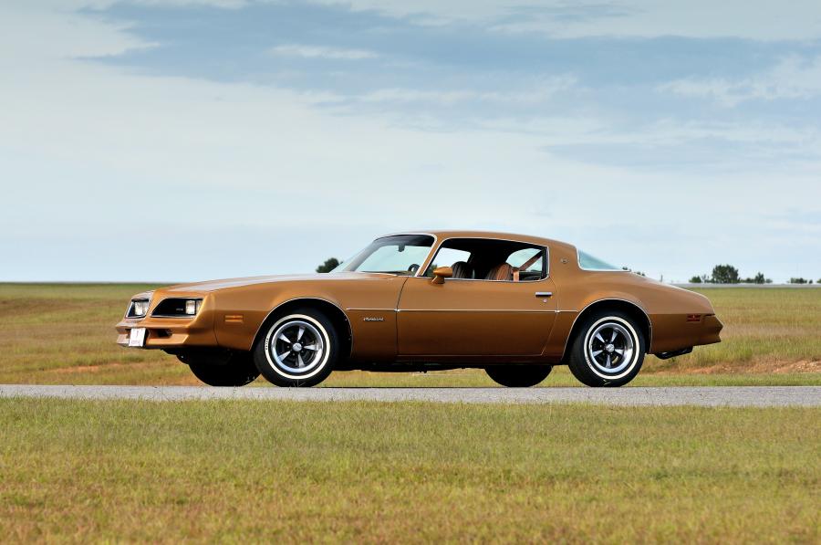  Pontiac Firebird Esprit 1977 года  (фото 3 из 11)